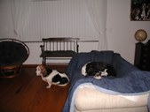 Enlarge photo 3