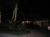 Enlarge photo 44