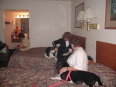 Enlarge photo 72