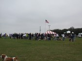 Enlarge photo 81