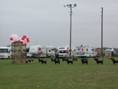 Enlarge photo 90