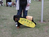 Enlarge photo 110