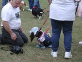 Enlarge photo 114