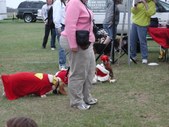 Enlarge photo 119