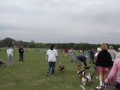 Enlarge photo 137