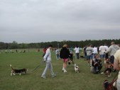 Enlarge photo 138