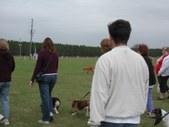 Enlarge photo 140