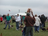 Enlarge photo 144