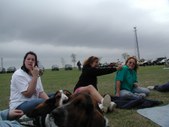 Enlarge photo 145