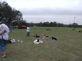 Enlarge photo 149