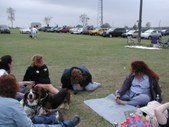 Enlarge photo 152