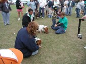 Enlarge photo 156