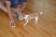 Enlarge photo 9
