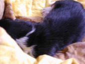 Enlarge photo 35