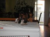 Enlarge photo 13