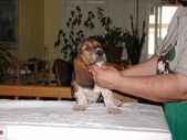 Enlarge photo 16