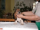 Enlarge photo 17