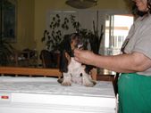 Enlarge photo 21