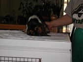 Enlarge photo 26
