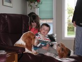 Enlarge photo 5