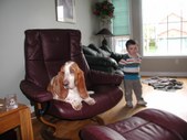 Enlarge photo 11