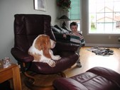 Enlarge photo 12