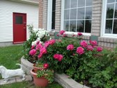 Enlarge photo 25