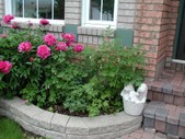 Enlarge photo 26