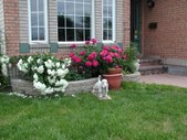 Enlarge photo 30