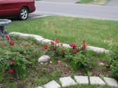Enlarge photo 31