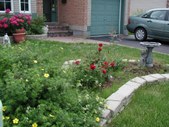 Enlarge photo 33