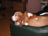 Enlarge photo 36