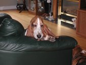 Enlarge photo 3