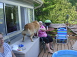 Enlarge photo 14