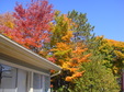 Enlarge photo 32