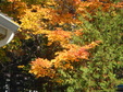Enlarge photo 33