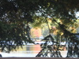 Enlarge photo 52