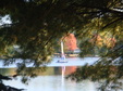 Enlarge photo 51