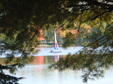 Enlarge photo 50
