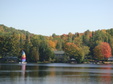 Enlarge photo 45