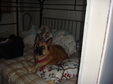Enlarge photo 43
