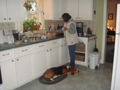 Enlarge photo 10