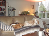 Enlarge photo 14