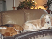 Enlarge photo 15