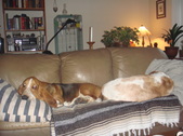 Enlarge photo 16
