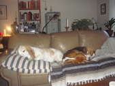 Enlarge photo 18