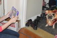 Enlarge photo 24