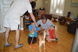 Enlarge photo 17