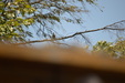 Enlarge photo 47