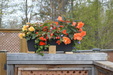 Enlarge photo 44